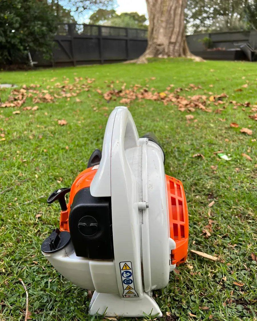 Leaf blower on a lawn scattered with autumn leaves under a large tree
