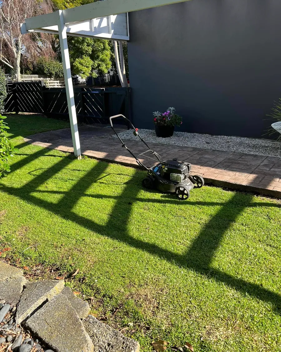 Push mower on a freshly cut lawn