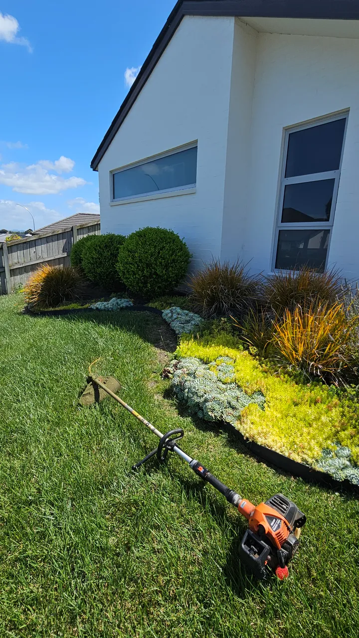 Weeded garden border beside a mown lawn